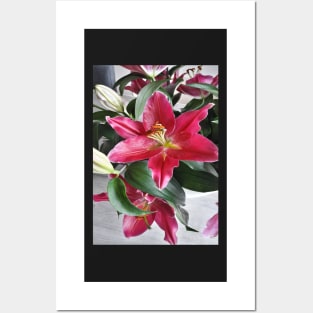 Lily in a vase. Posters and Art